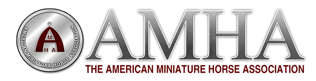 AMHA World Championship